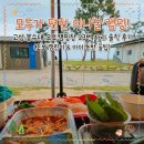 고성패밀리캠핑장 | [고성 캠핑장] 초보 캠린이 패밀리의 봉수대 오토캠핑장 23번 자리 솔직 후기! (원터치 텐트 / 미니멀...