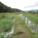 경안천 초부리 이미지