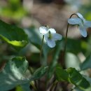 386친구들 이미지