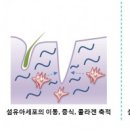 센스화장품 네이버블로그