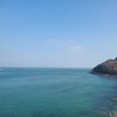 블루망고 이미지