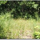 다목보건진료소 이미지