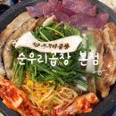 경기도 수원시 영통구 매탄로 | 매탄동 곱창 순우리곱창 본점ㅣ수원 영통 곱창 맛집 21년 현지인 노포 알곱창