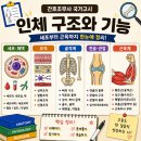 인체구조와 기능