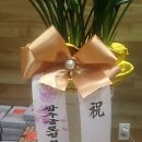 허금철 네이버블로그