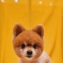 왈왈미용실 이미지