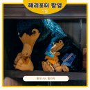 신동사 | 홍대 해리포터 팝업 스토어 마호도코로 팝업 후기 굿즈 가격 (서울 홍대 AK 플라자 놀거리)