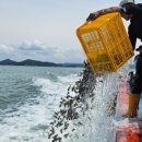 (주)와이즈 이미지