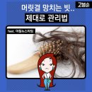빗과머릿결 - 양주시 | 빗과머릿결