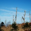 탐관오리 이미지