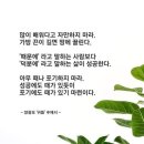 청단 이미지