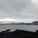 위미초등학교 이미지