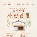 느티나무 플랫폼 이미지