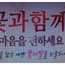 원플라워 이미지