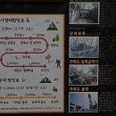 국수봉 정상 이미지
