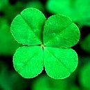 에벤에셀 이미지