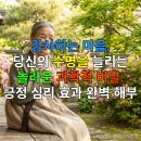 웰빙365(wellbeing365) | 감사하는 마음, 당신의 수명을 늘리는 놀라운 과학적 비밀: 긍정 심리 효과 완벽 해부