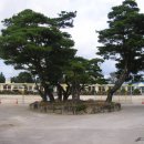 아영초등학교 이미지