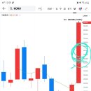 KORU 이미지