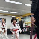 금오태풍태권도장 이미지