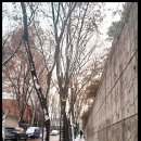 광진정보도서관 이미지