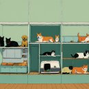 더 퍼피즈 블루 오션 쿡 | 설 명절 연휴기간 영업하는 애견카페, 강아지호텔