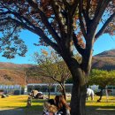 망상농장 이미지