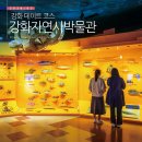 강화자연사박물관 | 강화자연사박물관 강화도 볼거리 강화도 데이트 코스 후기