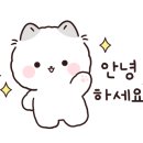 벨라폴앤스트레칭