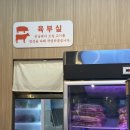 치리돈 이미지