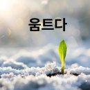 봄의 길목에서 만난 예쁜 우리말, ‘움트다’를 아시나요 이미지