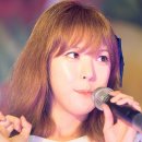 화천시장 이미지