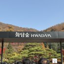 참 조은 훈이네 강아지 | 광주 곤지암 리조트 화담채 화담숲 찐단풍 보고 싶으면 서두르기 | 25.11.09 가족 방문 리얼 후기