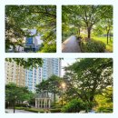 위시티연세치과의원 이미지