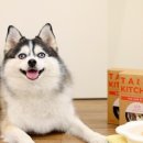주식회사 페치 이미지