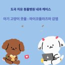 도곡 치유 동물병원 이미지