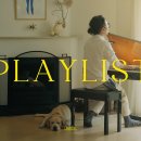 코스모스악기 이미지