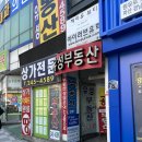 마린애시앙 코끼리부동산 공인중개사사무 | [댓거리 유성 공인중개사] 마산 경남대/댓거리 근처 원룸 및 매물 찾을 때 추천해요!!! 강추⭐️
