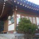도요새민박