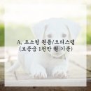 정도라이프