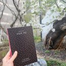 내 글도 에세이가 될 수 있을까 | [버지니아 울프] 여성의 직업, 세 편의 에세이와 일곱편의 단편 소설, 이소노미아