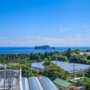 호텔펠리시아 이미지