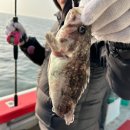 선부2파출소내 개방화장실 | 인천바다낚시 추천 인천우럭낚시 후기: 덕적호