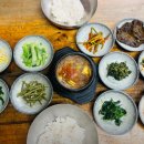 [개포1] 한식-한끼식사 한 그릇 반찬요리 | 생방송투데이 인생식당 시골밥상 양평 맛집(25.05.07)