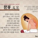 내 등이 다 아픈 조선 5대왕 문종의 등창 크기 이미지