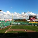 인천 문학구장 스카이박스에서 본 야구장의 변신 이미지