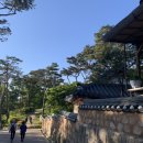 보현다원