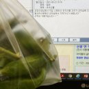 하대동375 | 2021.9.