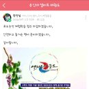 용인대 엘리트 태권도장 이미지