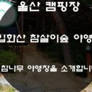 입화산 야영장 2 이미지